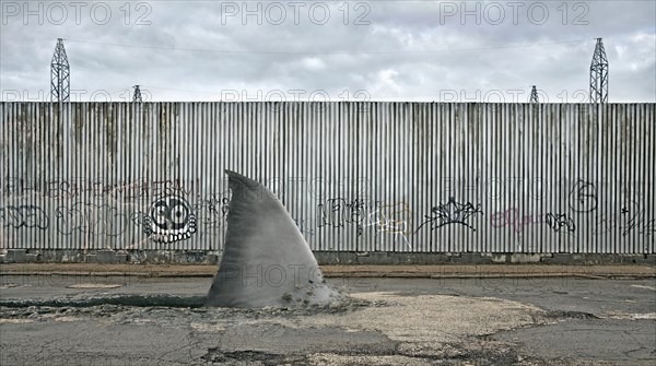 Shark fin swimming in dilapidated city street