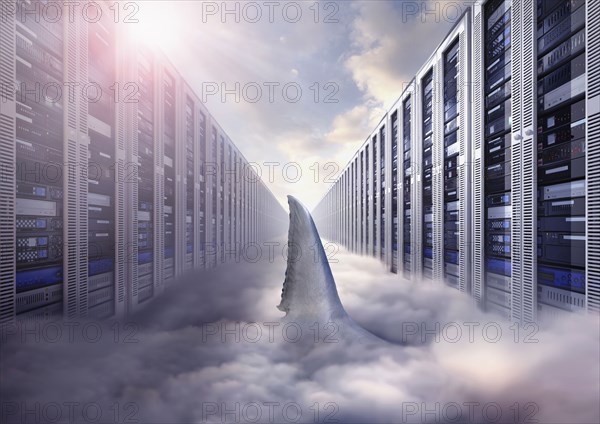 Shark fin swimming in cloud storage computer servers