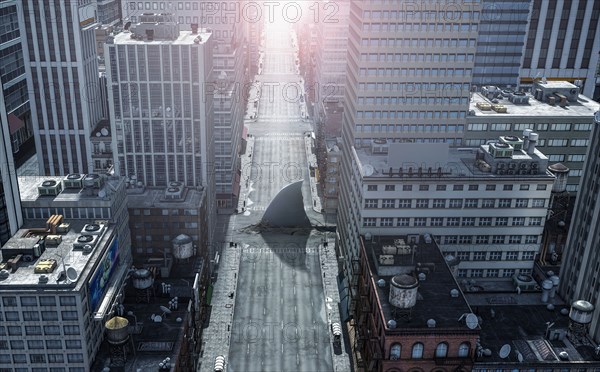 Shark fin swimming in intersection of city streets