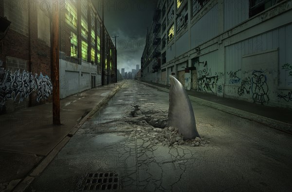 Shark fin swimming in dilapidated city street