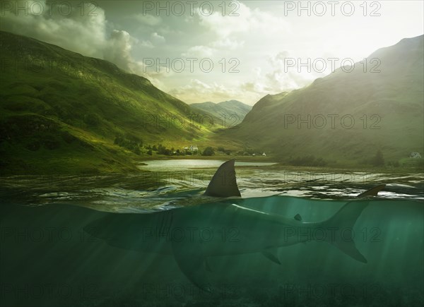Shark swimming in lake near mountains