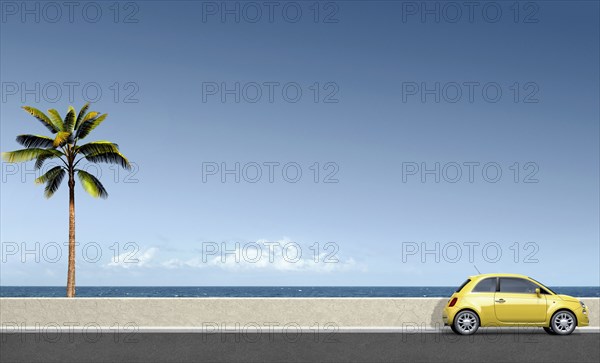 Yellow car near palm tree at ocean