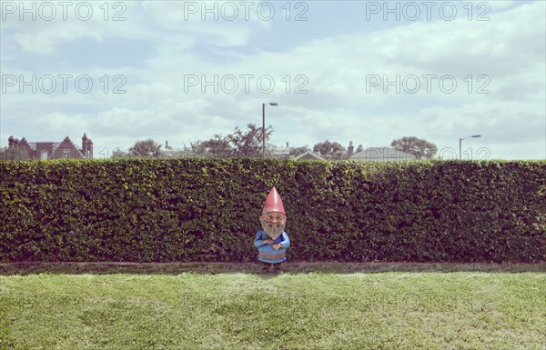 Garden gnome near hedge