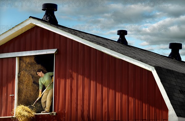 Caucasian woman shoveling hay in barn with pitchfork