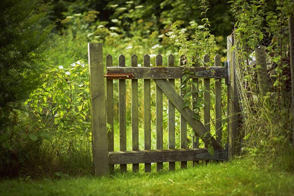 Wooden gate green field