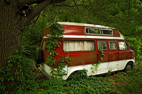 Foliage growing on abandoned camper van in forest