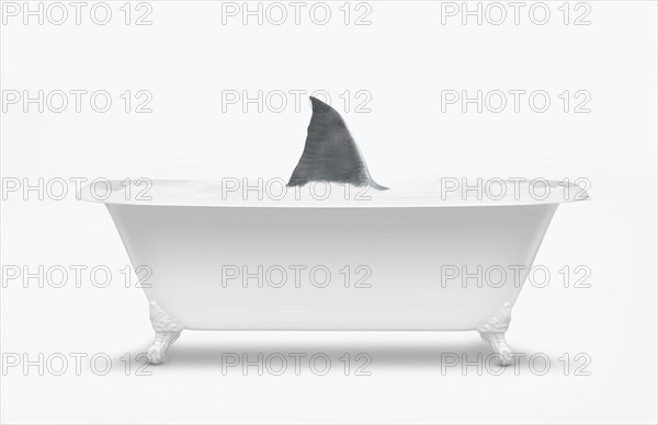 Fin of shark swimming in bathtub