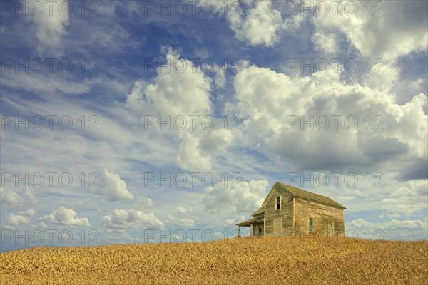 Clouds over remote wooden farmhouse
