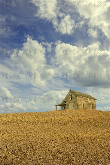 Clouds over remote wooden farmhouse