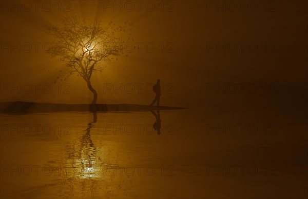 Silhouette of woman and tree near river at sunset