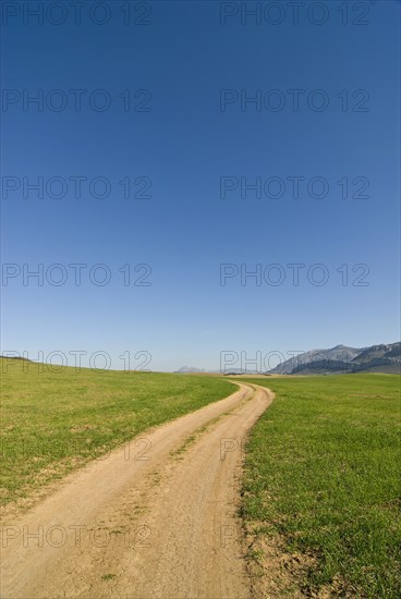 Dirt road in remote countryside