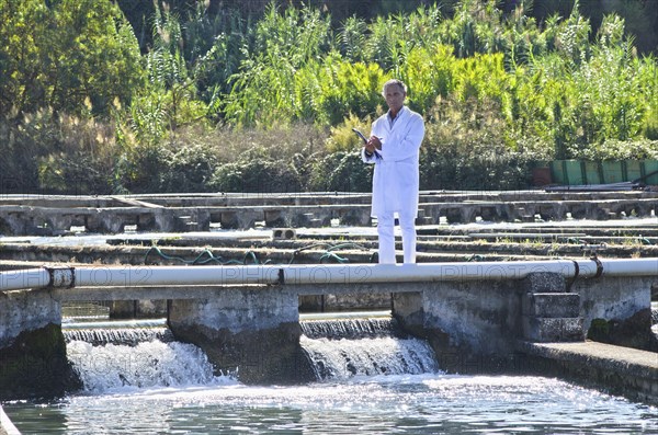 Hispanic man working in fish hatchery