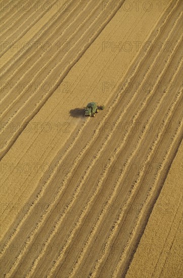 Combine harvester in wheat field aerial view