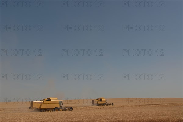 two combine harvesters working in wheat field