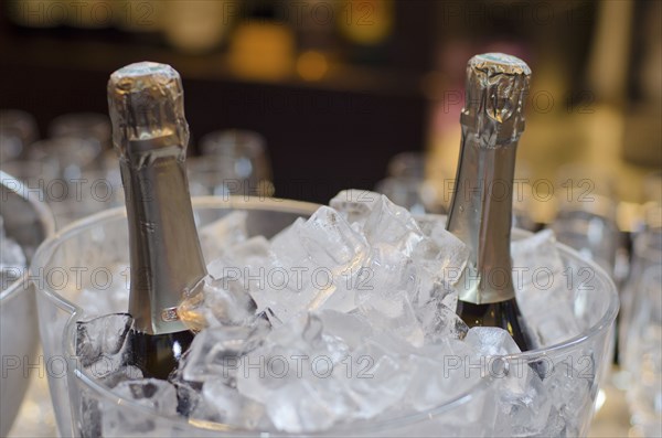 Wine bottles in ice bucket in restaurant