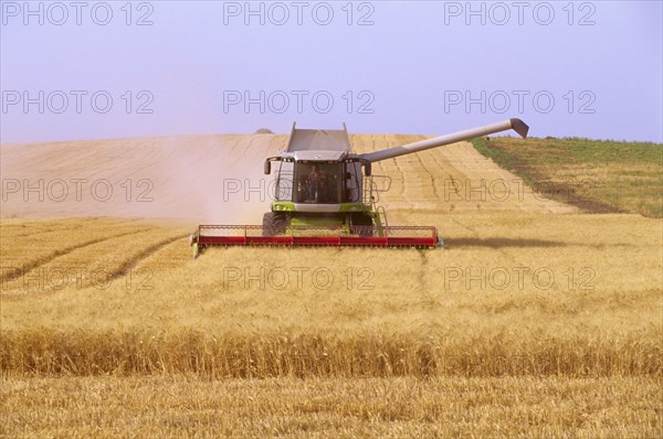 Combine harvester harvesting wheat in field