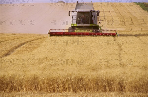 Combine harvester harvesting wheat in field