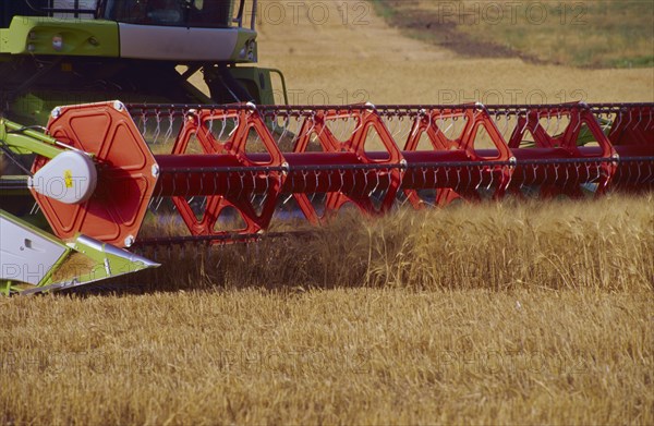Combine harvester harvesting wheat close-up