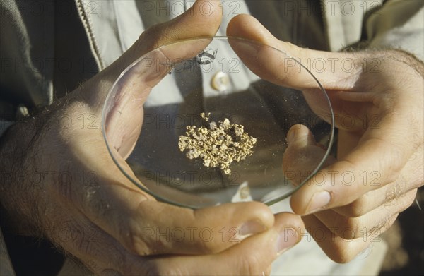 Close-Up of a Man Holding a Dish of Small Gold Nuggets Australia