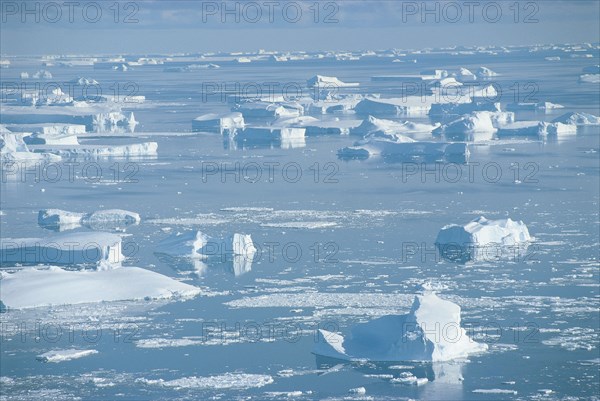 Antarctica Petersen Bank icebergs