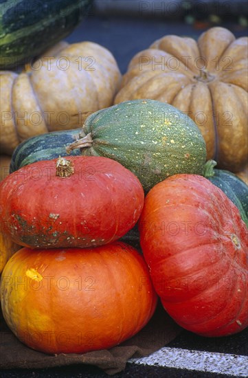 Pile of pumpkins of various colors