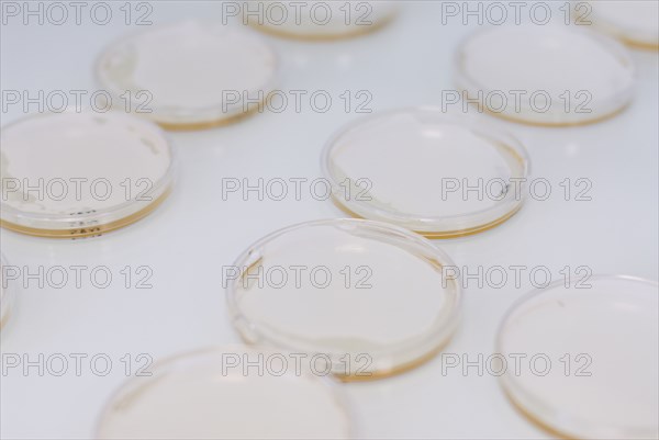 Petri dishes