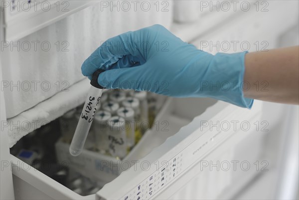 Lab technician holding test tube from freezer in laboratory close-up of hand