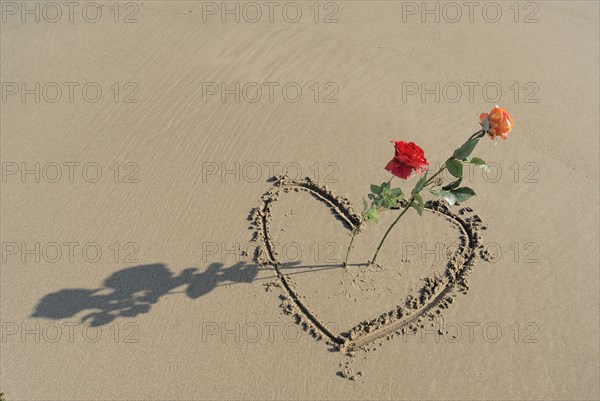 Roses sticking out of heart drawn in sand