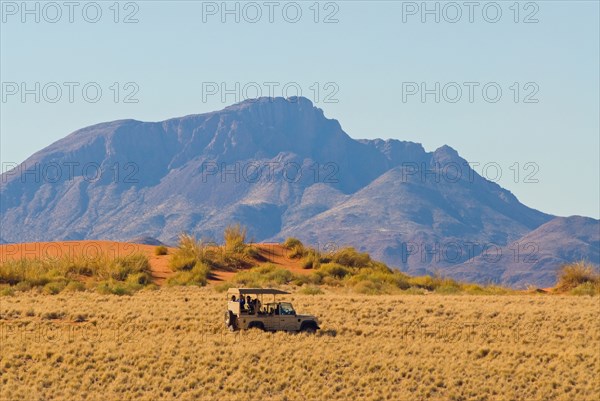 Namibia Wolwedans Nabim Naukluft Park