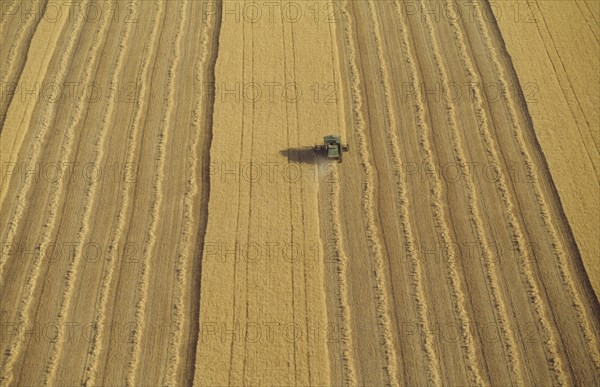 Combine harvester in wheat field aerial view