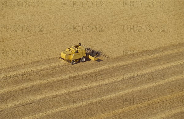 Combine harvester in wheat field aerial view