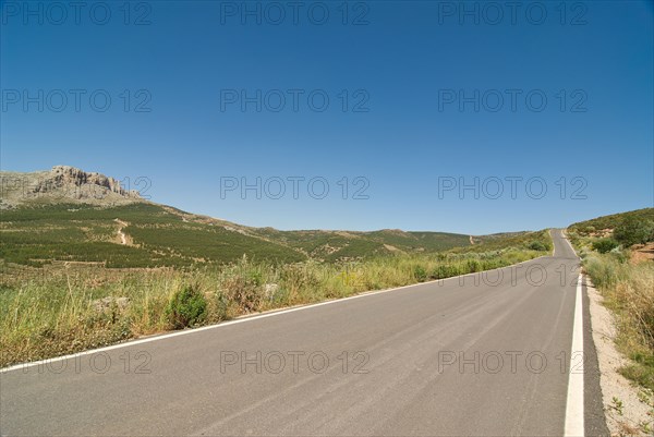 Road running to vanishing point