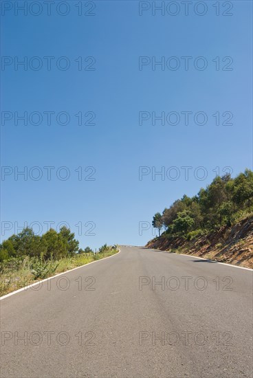 Road running to vanishing point