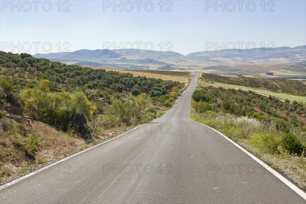 Road running to vanishing point