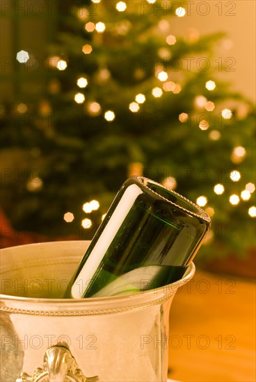 Empty bottle of champagne in cooler with Christmas tree in background