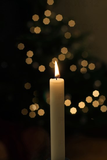 Candle with Christmas tree in background