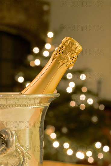 Bottle of champagne in cooler with Christmas tree in background