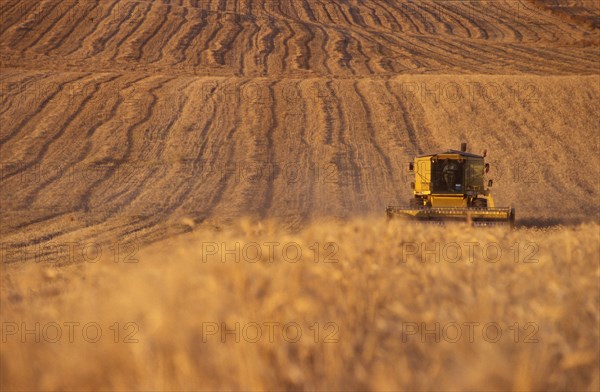 Harvester driving in rural fields