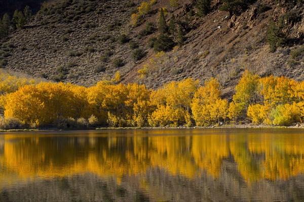 Autumn trees and hillside reflecting in lake