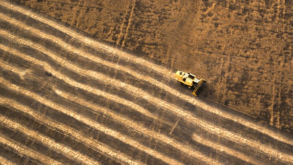 Aerial view of combine harvester in farm field