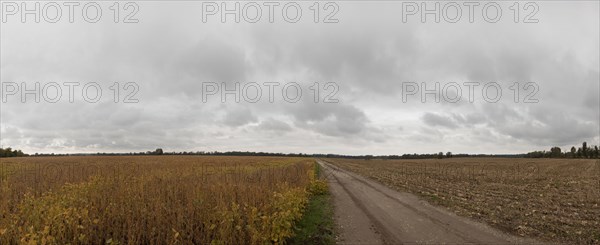 Dirt path through fields in rural landscape