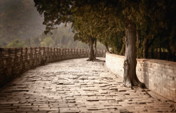 Brick path under trees in rural landscape