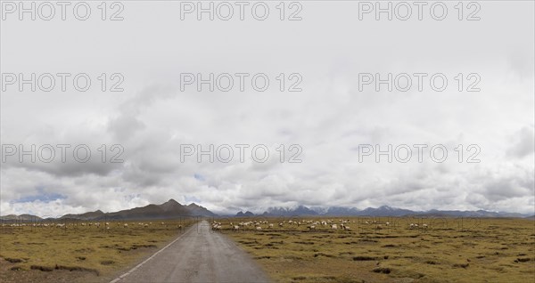 Empty road in remote landscape
