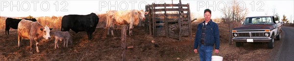 Farmer carrying bucket near cows