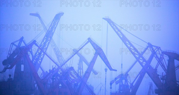 Construction cranes in fog