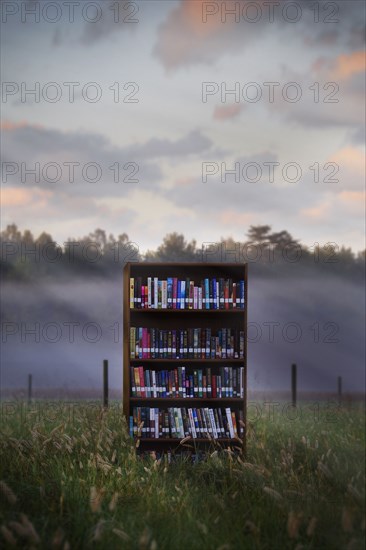 Books in bookcase in field