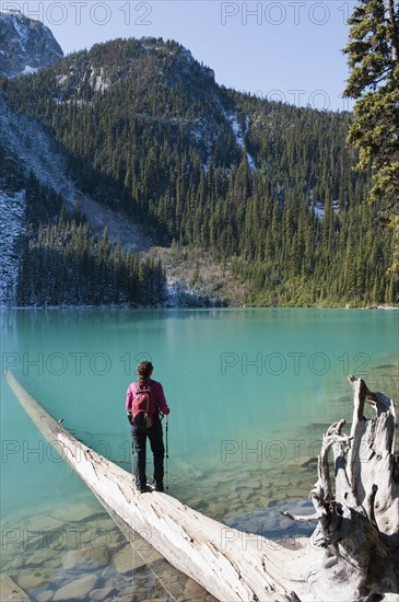 Hispanic hiker standing on log near remote lake