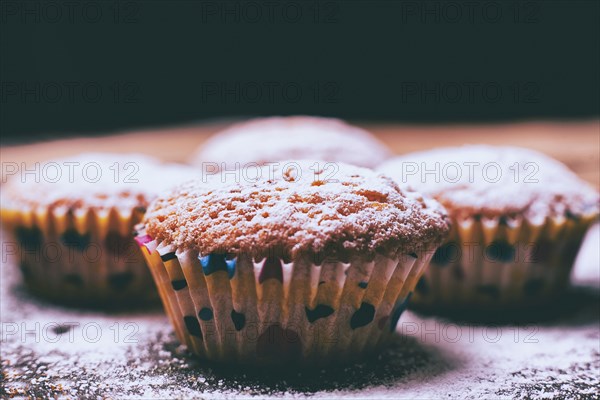 Close up of cupcakes covered with powdered sugar