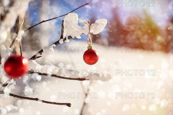 Christmas ornaments on branch in snow
