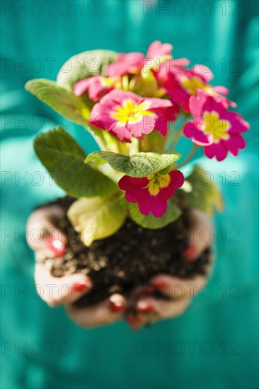 Woman holding blooming flowers